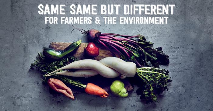 Harris Farms Imperfect Picks campaign